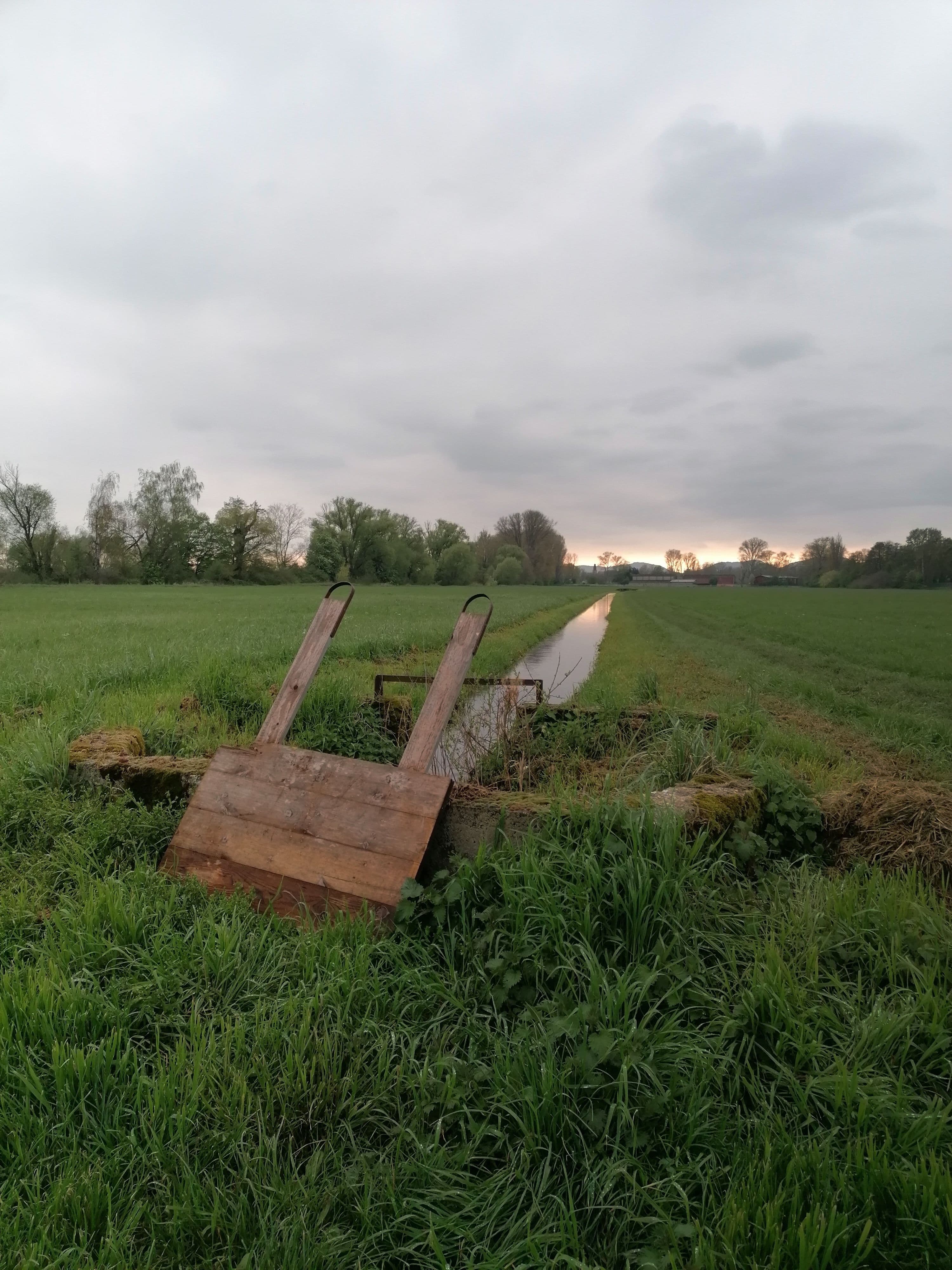 Abb. 1: Offene Schliesse an einem Bewässerungsgraben in Offenbach an der Queich, Mai 2023. Foto: Leonie Schäfer