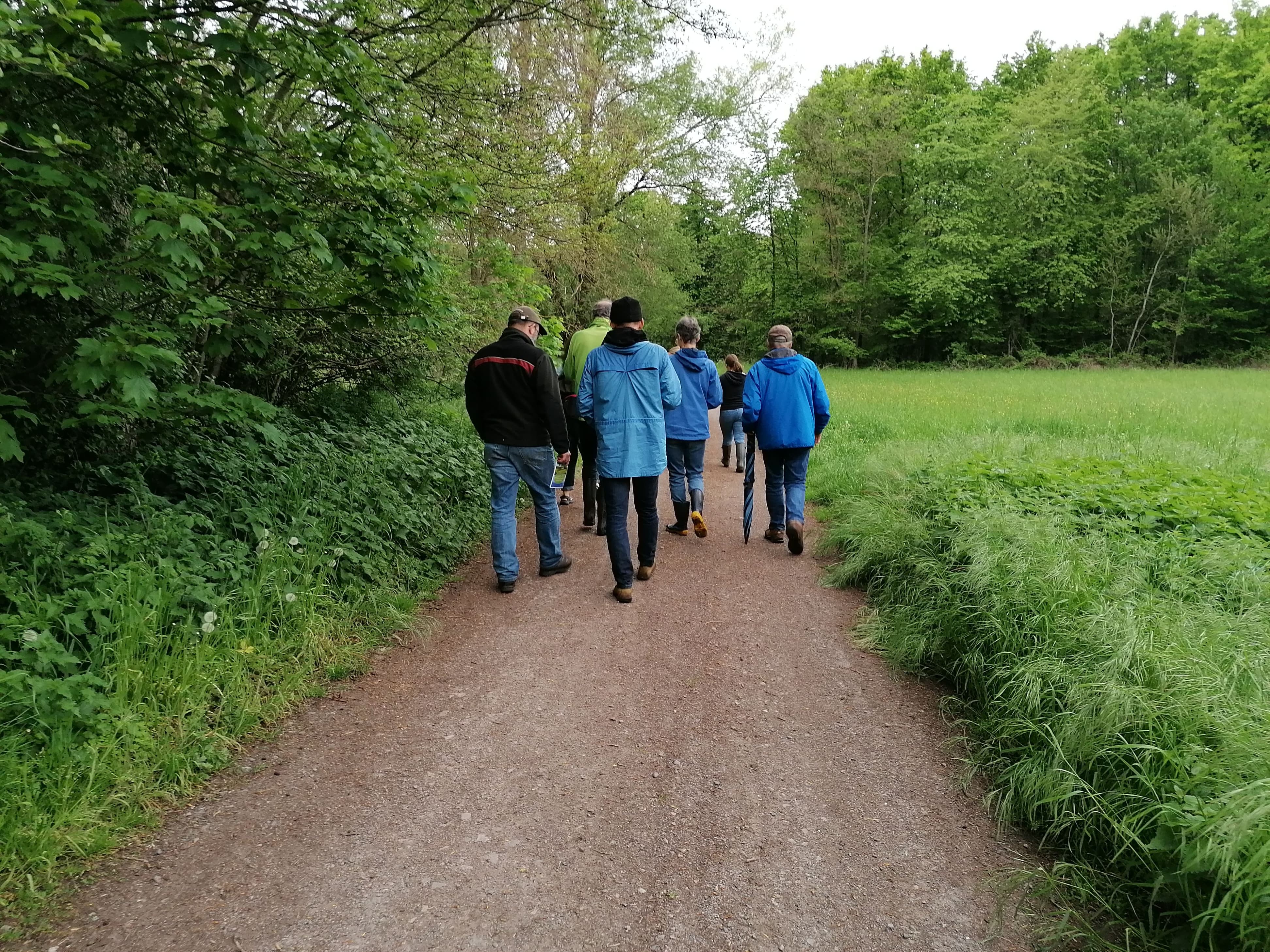 Abb. 4: Führung zu den bewässerten Queichwiesen in Bellheim, Mai 2023. Foto: Leonie Schäfer